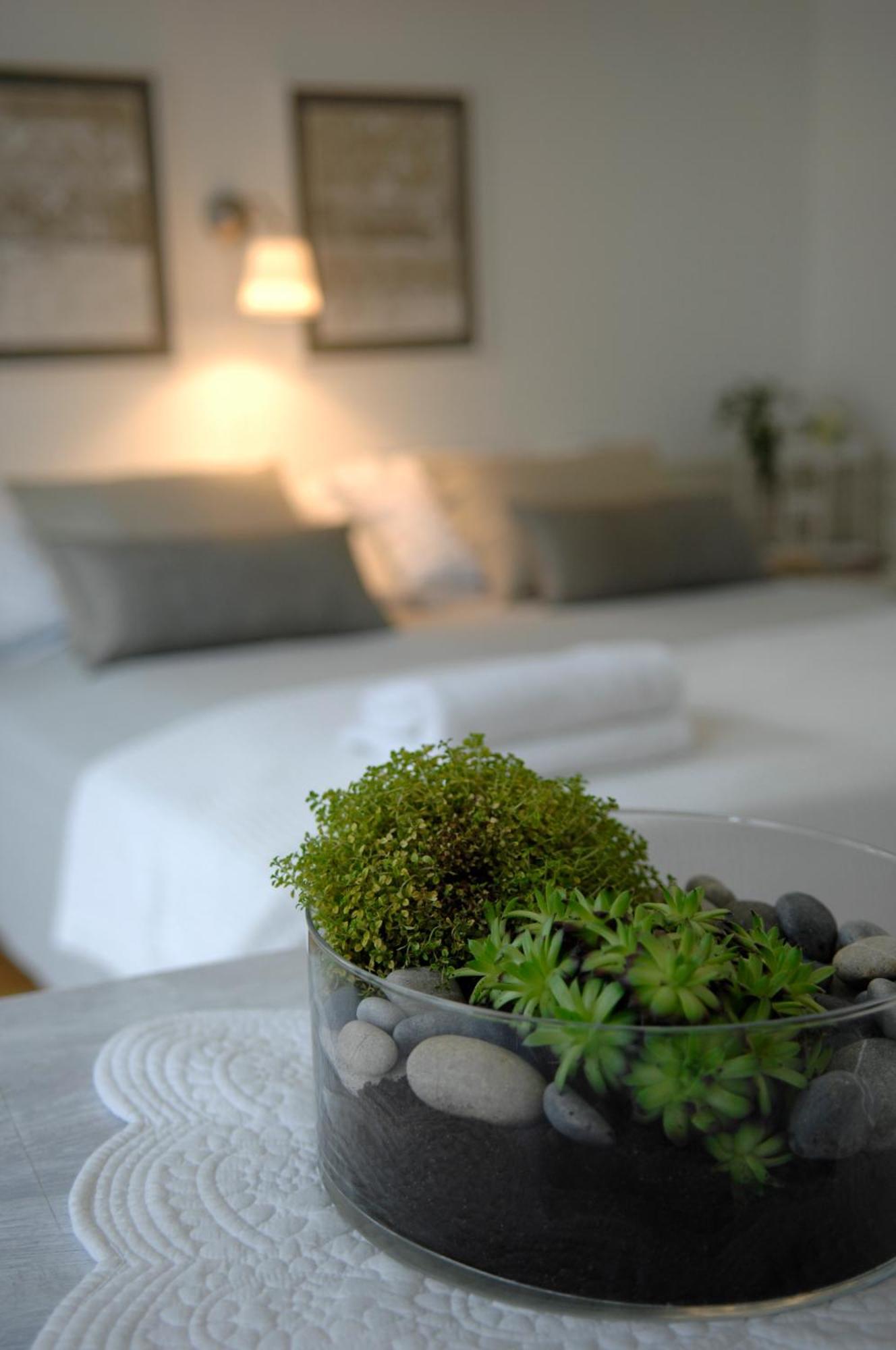 Frühstückspension Maison Dubois 3*
